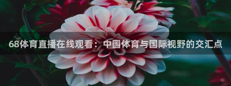 68体育直播在线观看：中国体育与国际视野的交汇点